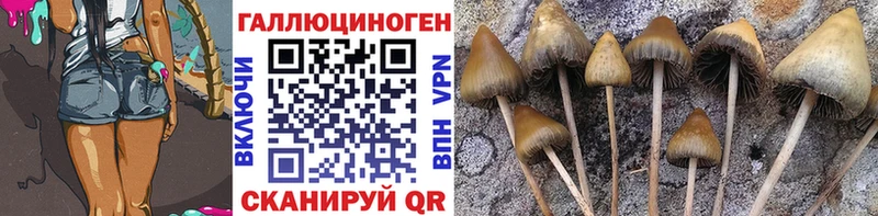 Псилоцибиновые грибы мицелий  Купить где  Котово 
